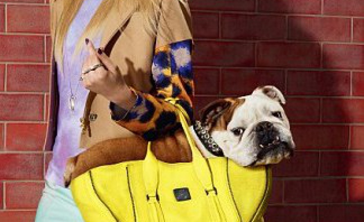 А что у тебя в корзинке? Собаки в рекламе Harvey Nichols 