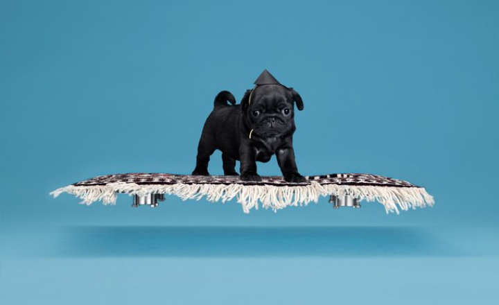 Ковер-самолет MiCasa Lab для домашних питомцев