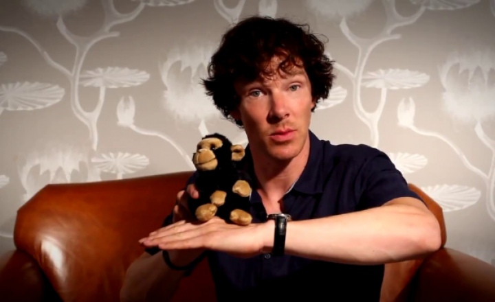 Бенедикт Камбербэтч показал на мартышке, как выжил Шерлок