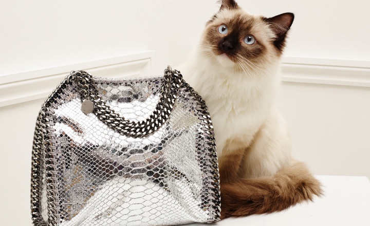 Новую коллекцию аксессуаров Stella McCartney представили кошки    