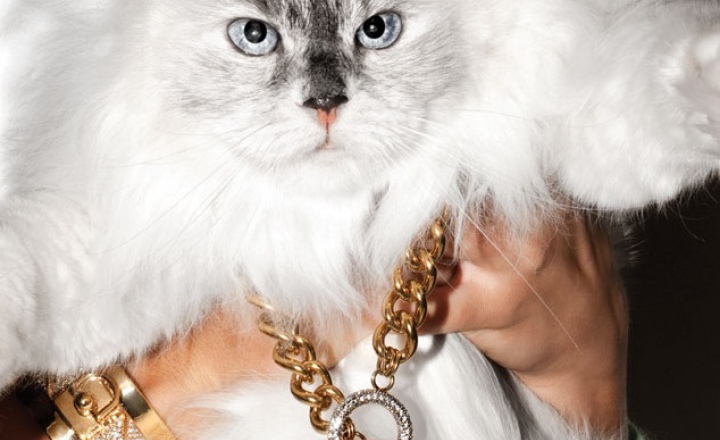 Рождественский этикет от Дерека Бласберга