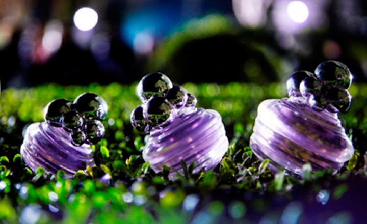 Cacharel выпустит новый парфюмерный бестселлер 