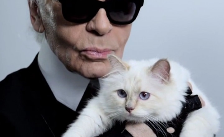 Кошка Лагерфельда выпускает свою коллекцию косметики