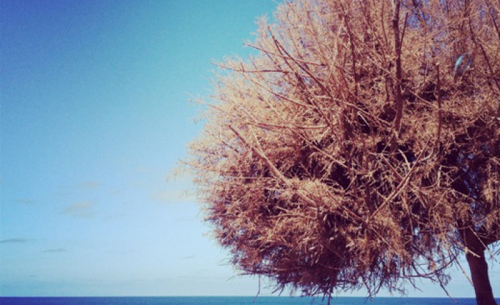 Серф: первый урок и "Аватар" на Гран-Канарии