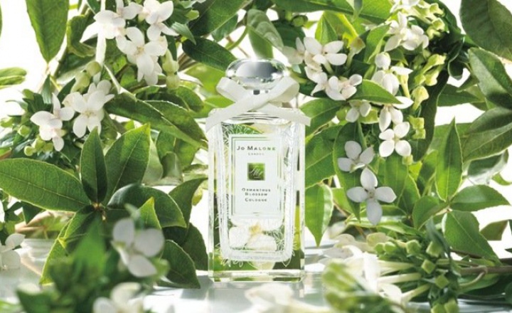 Медовый османтус Jo Malone