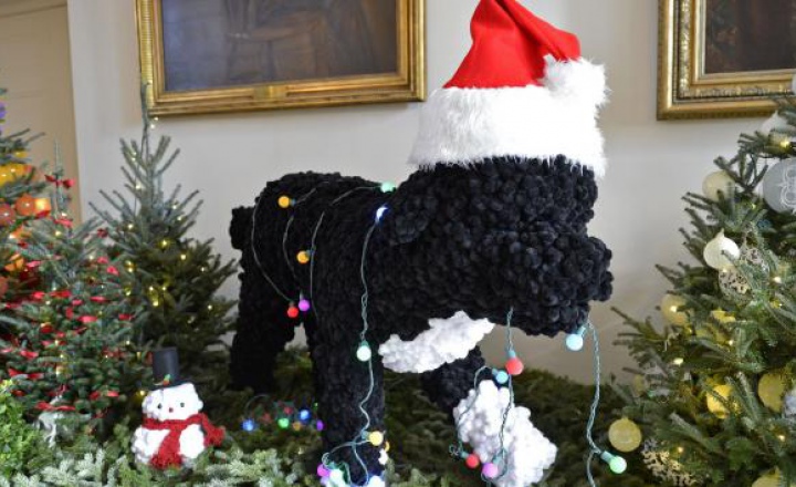 Рождество в Белом доме 2012: звезда Бо