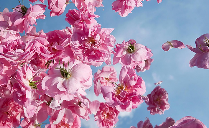 Louis Vuitton возвращается в парфюмерию спустя 80 лет