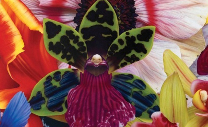 Торжество света: технологичная коллекция маек GAP