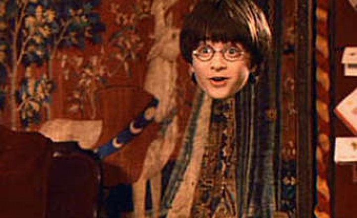 Ученые спрятали рыбку под плащ-невидимку