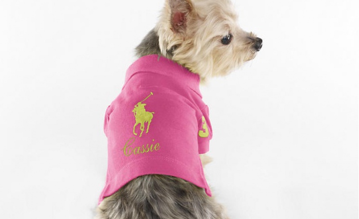 Новая коллекция одежды Ralph Lauren для песиков