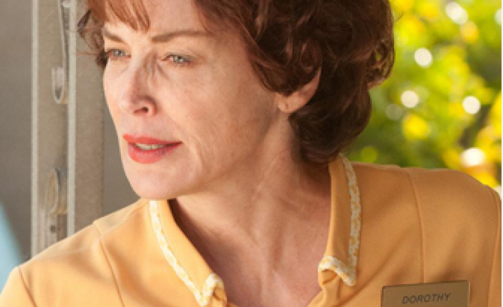 Шэрон Стоун снялась в фильме про порноактрису