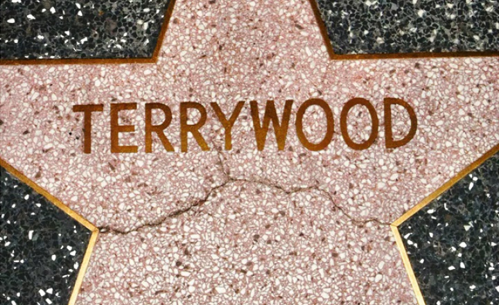 Новая книга Терри Ричардсона Terrywood