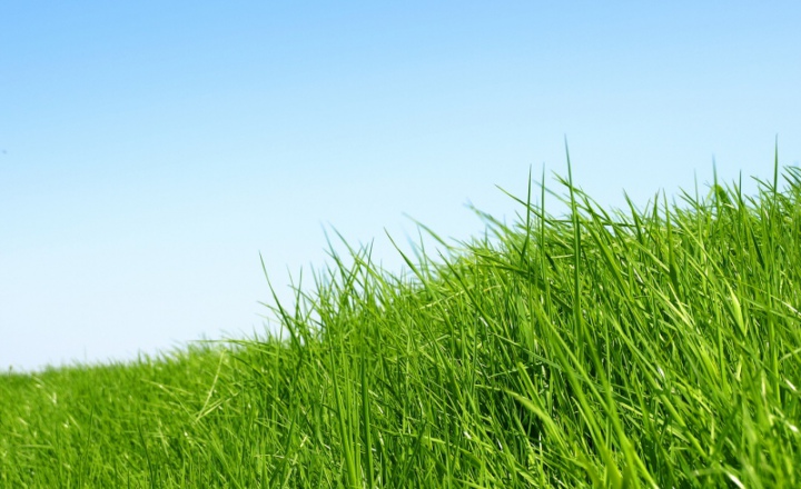 Ученые США: Вегетарианцы живут дольше любителей мяса