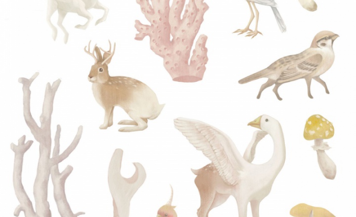 Волшебный LES': капсульная коллекция c Сяо Рон Ченг